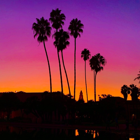 Meet your Posher, Barbara - Picture 2 of 2